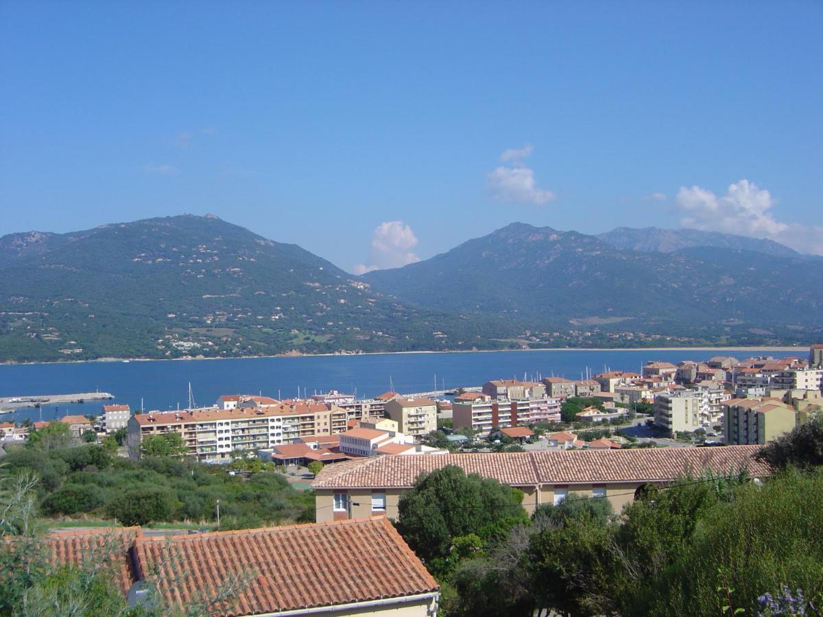 Casa vacanze Mimosa *